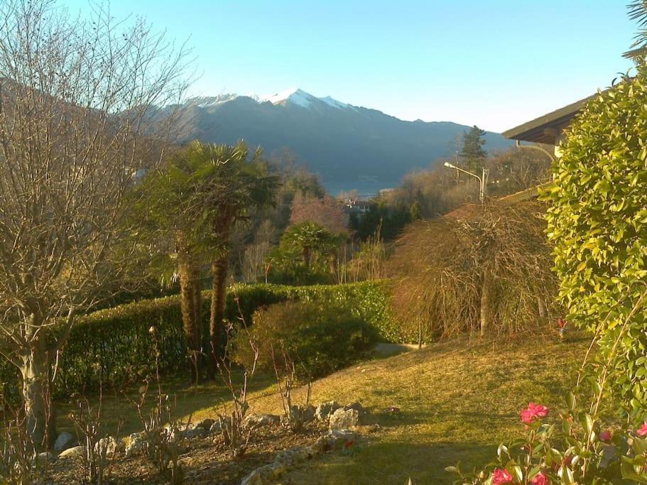 Amazing 3 Bedrooms Villa With Lavish Garden, Breathtaking Lake And Mountains View Luino Exterior photo